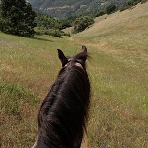 Meet your Posher, Madelyn🥀